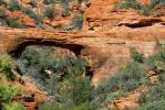PICTURES/Vultee Arch Hike/t_Vultee Arch3.JPG